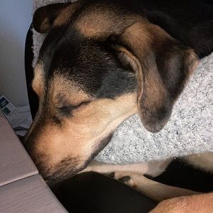 Meet your Posher, Tanya